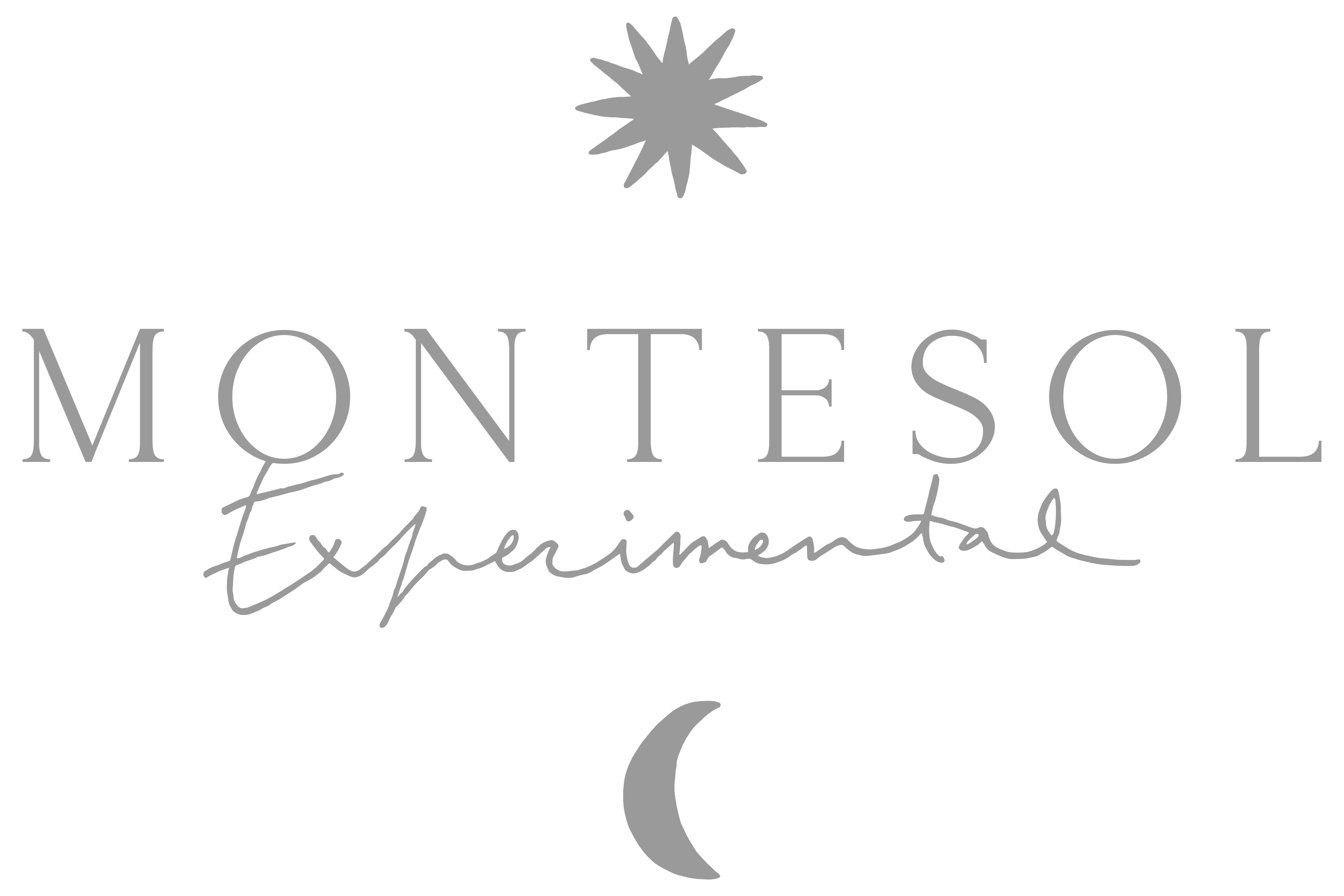 Montesol Ibiza Logo