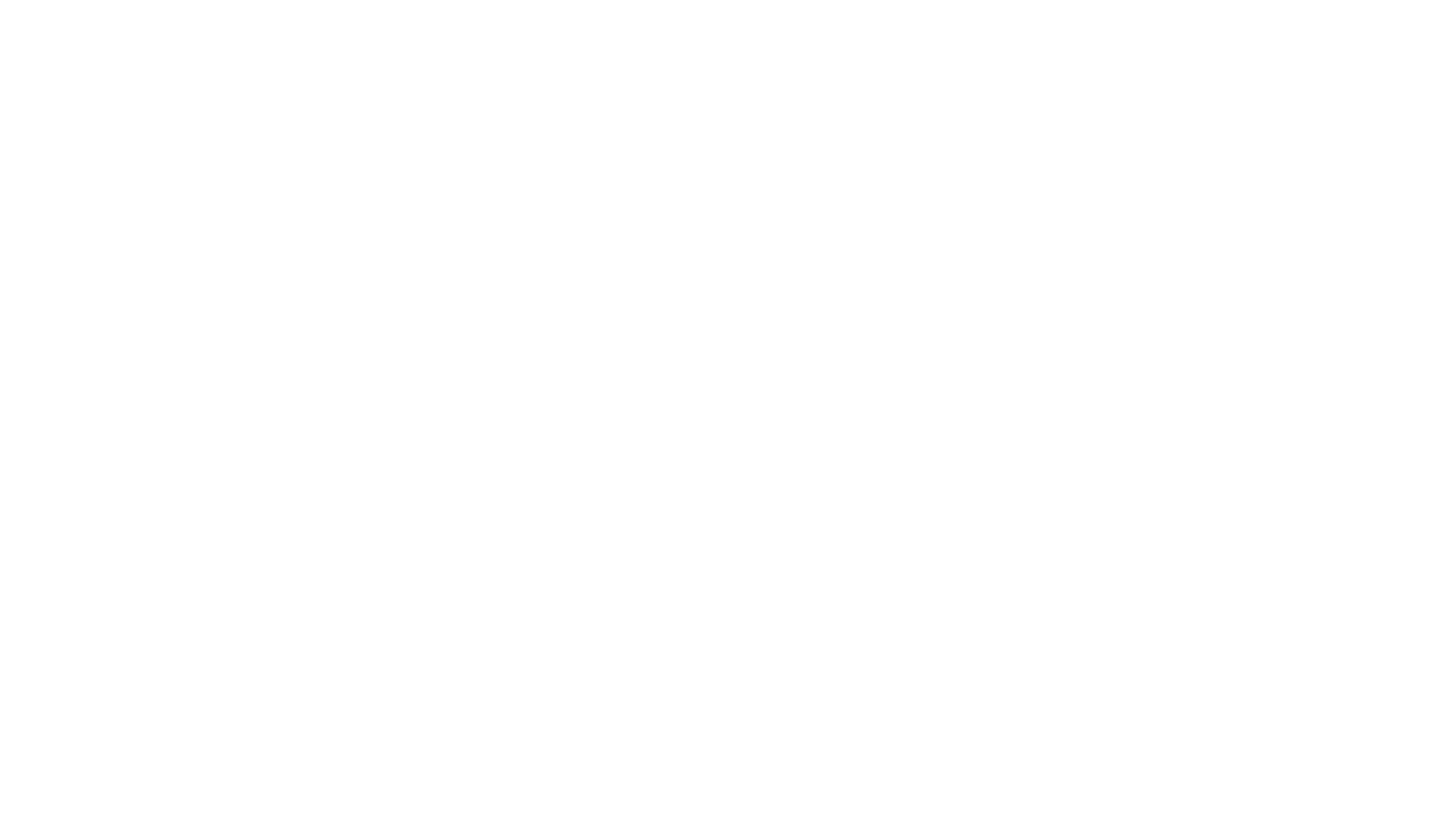 Nave las Salinas Logo